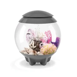 biOrb Halo 15 MCR Aquarium Aquatics Starter Kits - Gray - 4 Gal