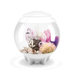 biOrb Halo 15 MCR Aquarium Aquatics Starter Kits - White - 4 Gal