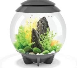 biOrb Halo 30 MCR Aquarium Aquatics Starter Kits - Gray - 8 Gal