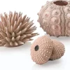 biOrb Sea Urchins Aquarium Decoration Aquatics Resin - 3 Pack