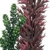 Biorb Seapearls and Kelp Aquarium Ornament - Small