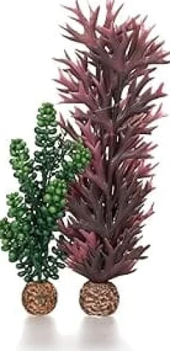 Biorb Seapearls and Kelp Aquarium Ornament - Small