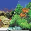Blue Ribbon Double-Sided Garden/Carribbean Coral Aquarium Background - 19 In X 50 Ft