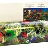Blue Ribbon Double-Sided Garden/Carribbean Coral Aquarium Background - 12 In X 50 Ft