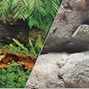 Blue Ribbon Double-Sided Rainforest/Boulder Aquarium Background - 19 In X 50 Ft