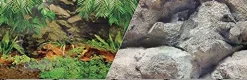 Blue Ribbon Double-Sided Rainforest/Boulder Aquarium Background - 19 In X 50 Ft