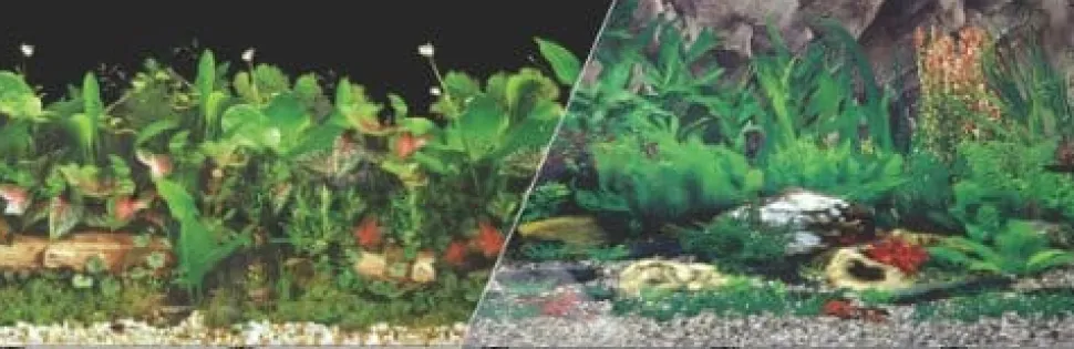 Blue Ribbon Double-Sided Tropical/Freshwater Aquarium Background - 12 In X 50 Ft