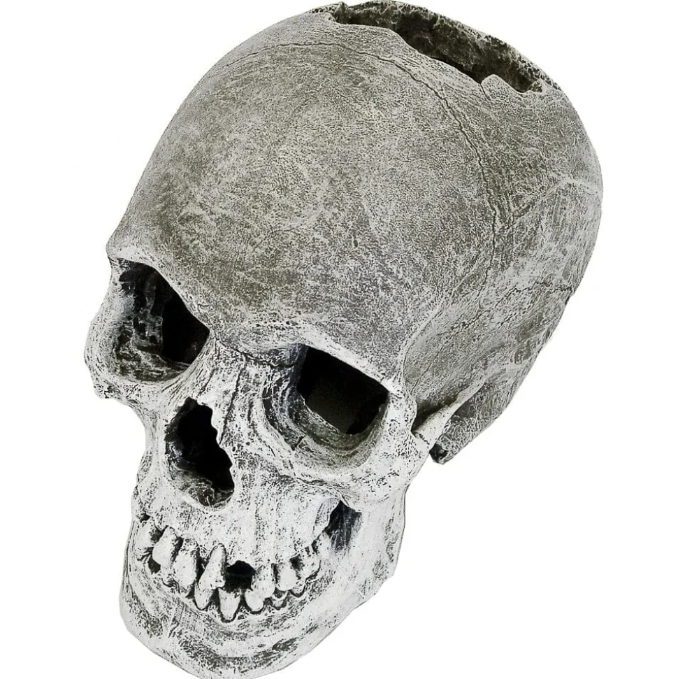 Blue Ribbon Exotic Environments Lifelike Human Skull Tank Accessory