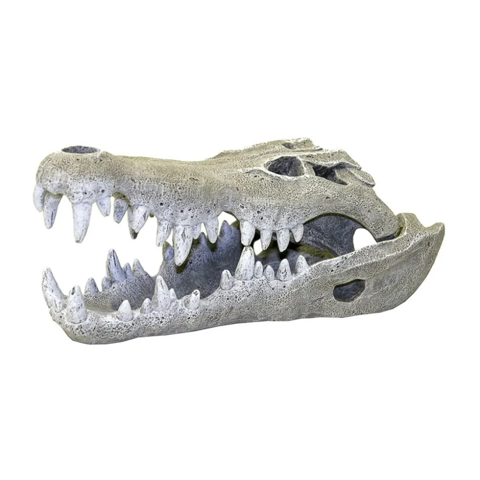 Blue Ribbon Exotic Environments Nile Crocodile Skull Small Tank Accessory