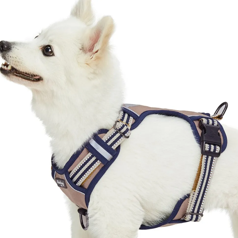 Blueberry Pet Soft and Comfy 3M Reflective Multi-Colored Stripe Mesh Padded No Pull Dog Harness Vest Olive and Blue-Gray
