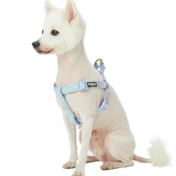 Blueberry Pet Step-in Velvety Polka Dot Flocking Dog Harness in Pastel Purple
