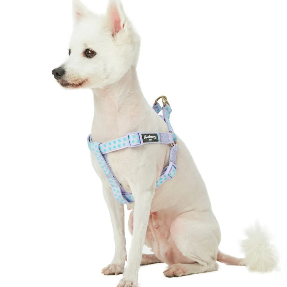 Blueberry Pet Step-in Velvety Polka Dot Flocking Dog Harness in Pastel Purple