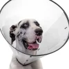 Calm Paws Basic Dog E-Collar - X Extra Large - 15.25 - 25 In