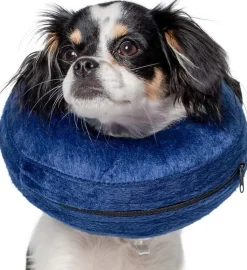 Calm Paws Basic Inflatable Dog Collar - Extra Small
