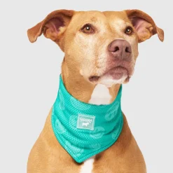 Canada Pooch Chill Seaker We Reveal Cooling Dog Bandana