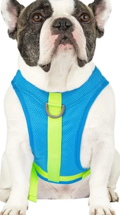 Canada Pooch Chill Seaker Reflective and Cooling Dog Harness