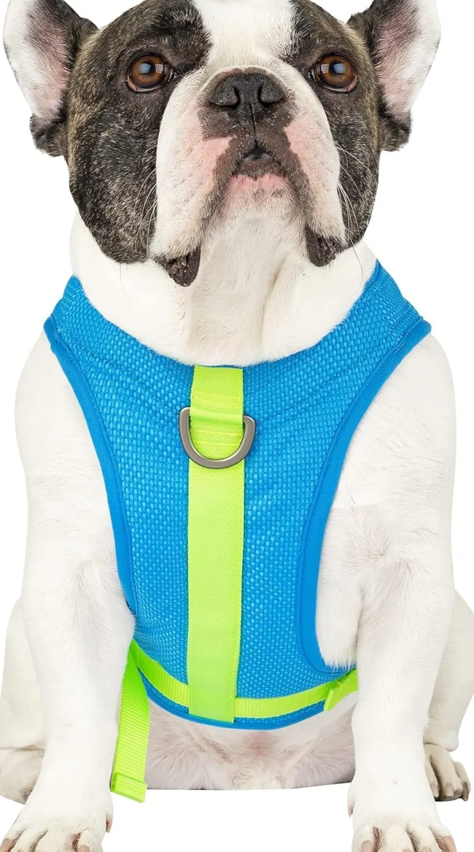 Canada Pooch Chill Seaker Reflective and Cooling Dog Harness