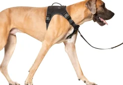 Canada Pooch Core Complete Control Dog Harness and Leash - Black