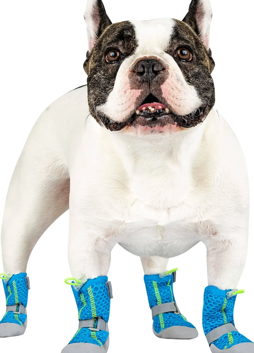 Canada Pooch Hot Pavement Breathable Dog Boots