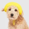Canada Pooch Torrential Tracker Dog Hat - Yellow