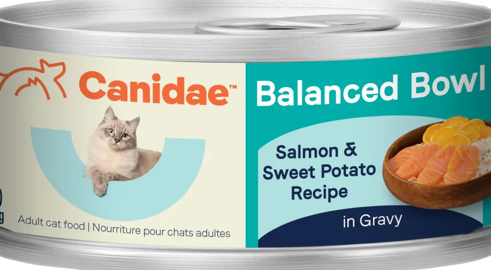 Canidae Balanced Bowl Cat Wet Food Canned Cat Food - Salmon/Sweet Potato - 3 Oz - Case of 24