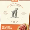 Canidae Ca-20 Recipe Dry Dog Food - Beef Grains - 7 Lbs