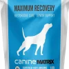 Canine Matrix 100gram (4oz) MRM Matrix Maximum Recovery and Restorative Dog Supplements - 4 oz