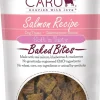 Caru Natural Salmon Recipe Bites Soft and Chewy Dog Treats - 4 oz