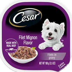 Cesar Canine Cuisine Gourmet Filets Filet Mignon Flavor Wet Dog Food - 3.5 oz - Case of 24