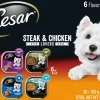 Cesar Canine Cuisine Steak and Chicken Multi-Pack Wet Dog Food - 3.5 oz - Case of 36