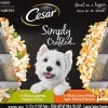 Cesar Simply Chicken, Carrots, Sweet Potato and Apple Multi-Pack Wet Dog Food - 3.5 oz - Case of 16