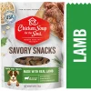 Chicken Soup for the Soul Savory Snacks Lamb Soft and Chewy Dog Treats - 6 Oz - 6 Pack