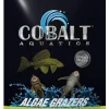 Cobalt Aquatics Algae Grazers Salt and Freshwater Fish Food - 2.3 Oz