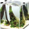 Cobalt Aquatics Microvue3 10 Glass Aquarium Kit - 2.6 Gal