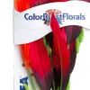 Colorburst Florals Amazon Sword Silk Style Plastic Aquarium Plant - Red - Large