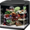 Coralife LED Biocube Marine or Freshwater Aquarium Kit - 32 gal