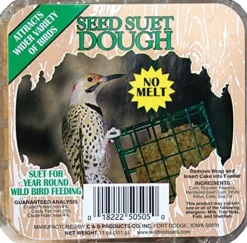 C&S Seed & Suet Cakes Dough Pictorial Label Suet Cakes Wild Bird Food - 11 Oz - 12 Pack