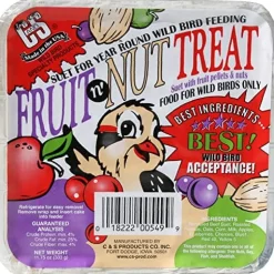 C&S Treat Suet Cakes Wild Bird Food - Fruit N' Nut - 11 Oz