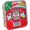 C&S Treat Suet Cakes Wild Bird Food - Cherry - 11.75 Oz