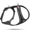 Curli Belka Magnet Dog Harness - Black - Large