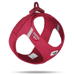 Curli Clasp Mesh Vest Dog Harness - Red - XXXS