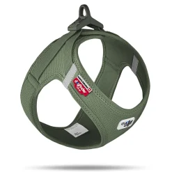 Curli Clasp Mesh Vest Dog Harness - Moss - XXXS