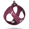 Curli Clasp Mesh Vest Dog Harness - Ruby - XXS