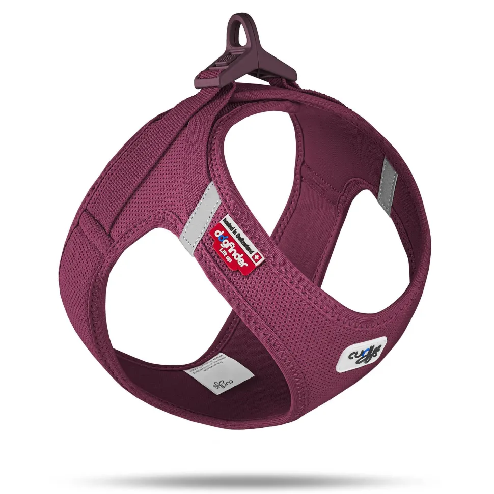 Curli Clasp Mesh Vest Dog Harness - Ruby - XXS