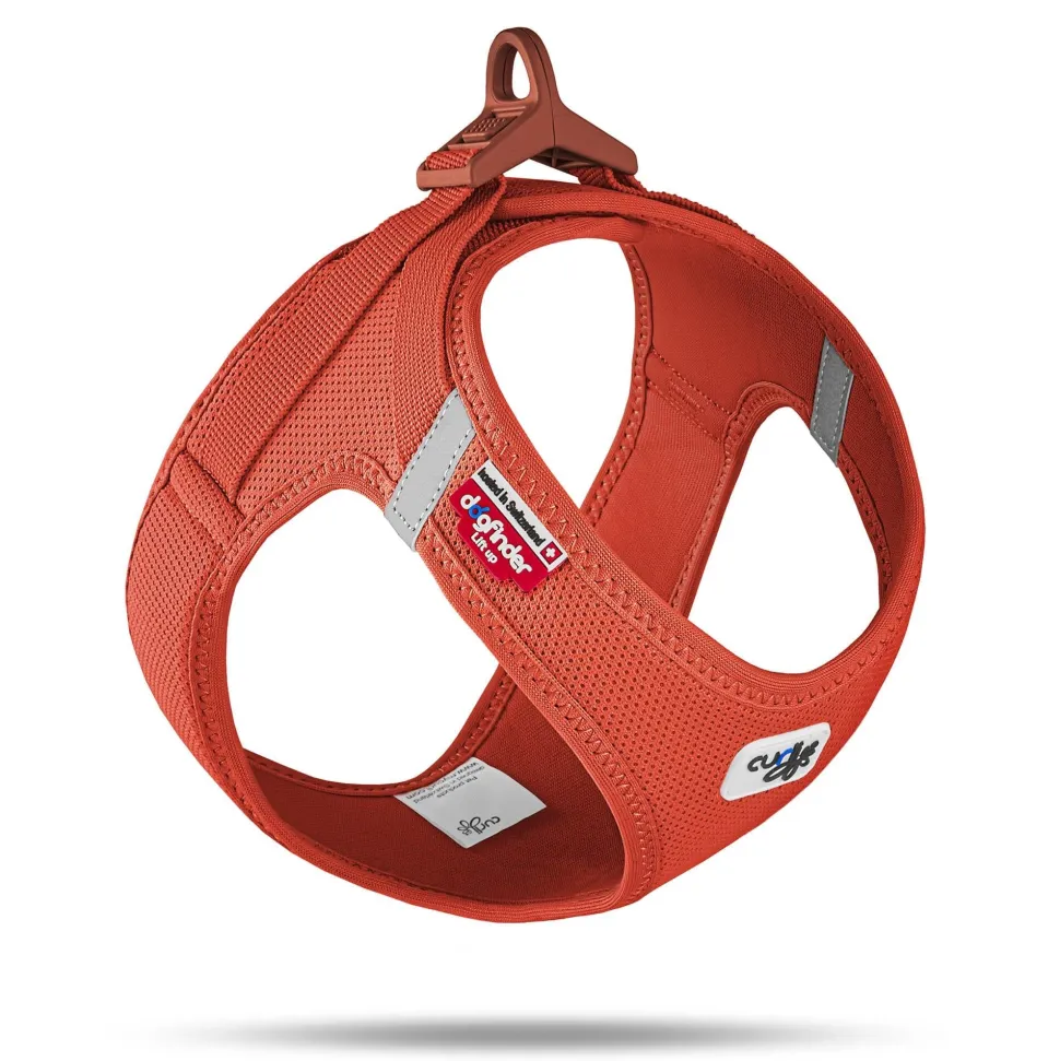 Curli Clasp Mesh Vest Dog Harness - Orange - Small