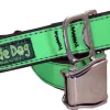 Cycle Dog Regular Earth-Friendly Dog Collar - Green - Large