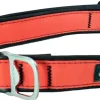 Cycle Dog Regular Earth-Friendly Dog Collar - Green - Medium