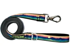 Cycle Dog Regular Earth-Friendly Dog Leash - Eagle - 6' Feet