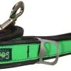 Cycle Dog Regular Max Reflective Earth-Friendly Dog Leash - Green - 6 Feet