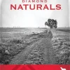 Diamond Naturals Adult Real Lamb and Rice Dry Dog Food